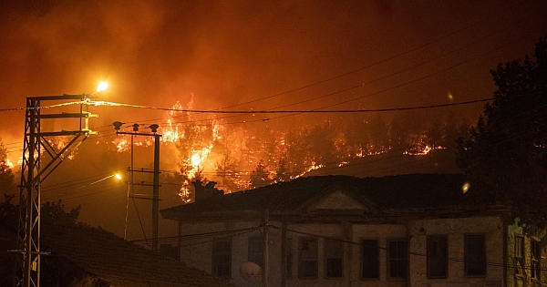 Geyve Orman Yangını