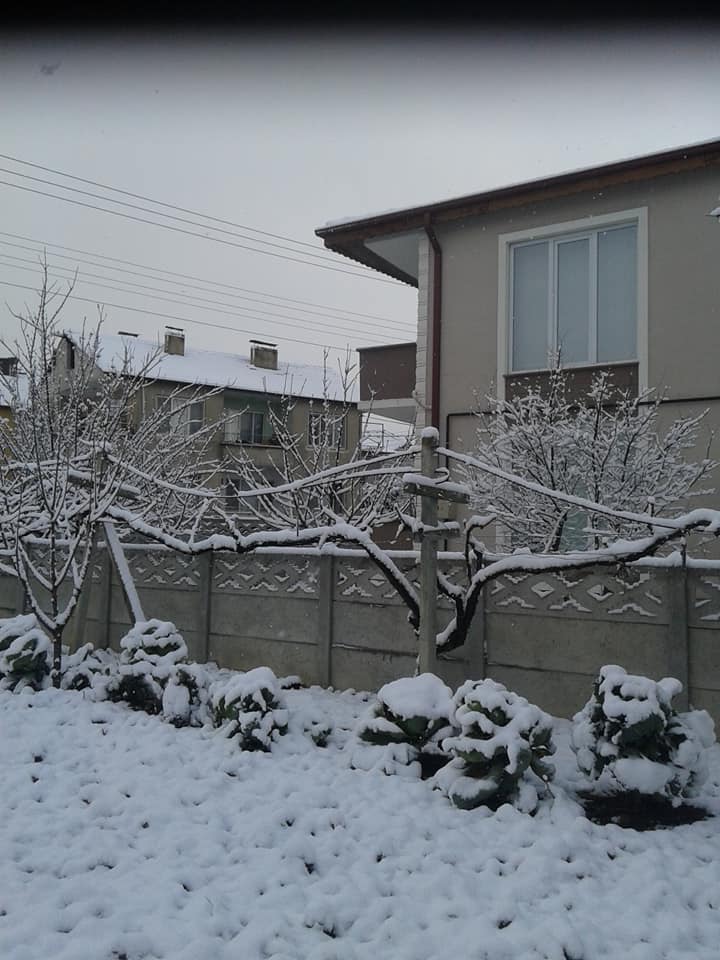 2020/02/1581178510_geyve_kar080220_03.jpg