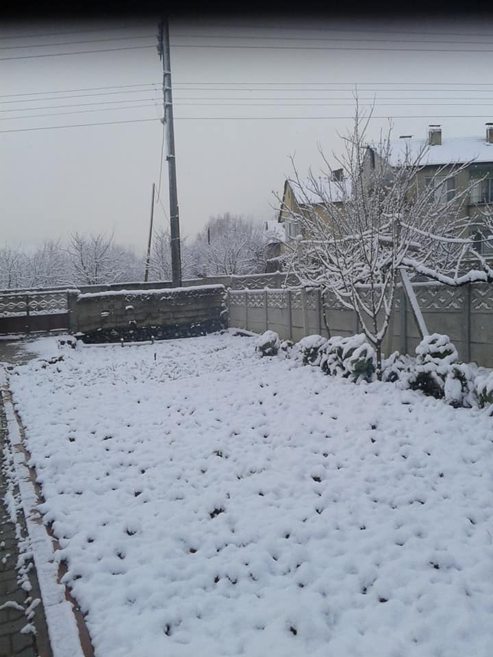 2020/02/1581178512_geyve_kar080220_06.jpg