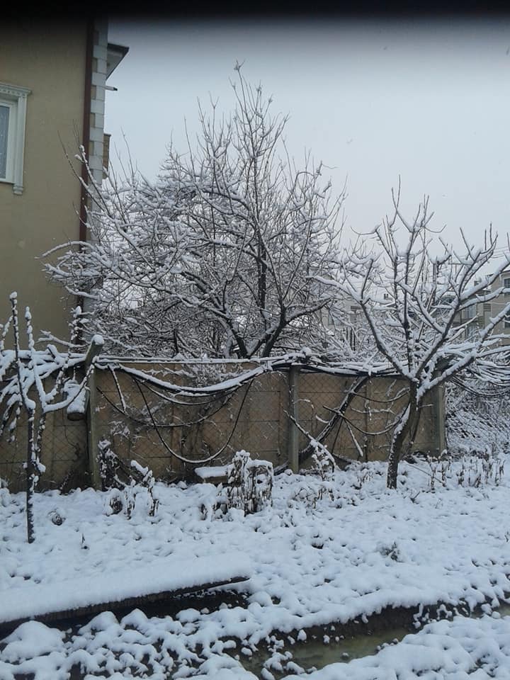 2020/02/1581178514_geyve_kar080220_07.jpg