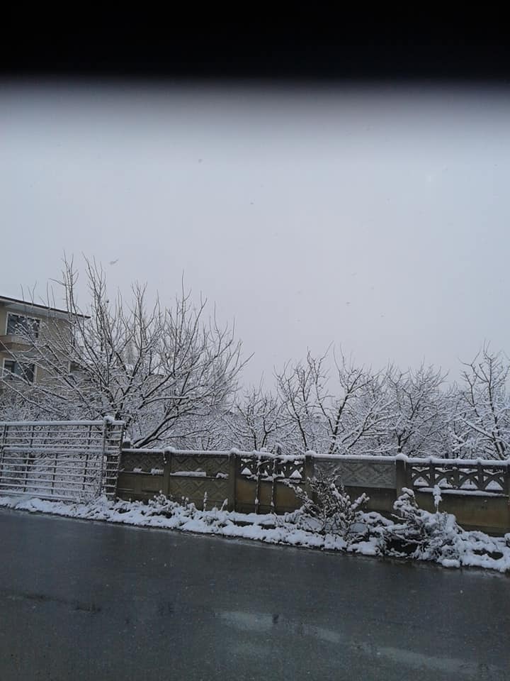 2020/02/1581178515_geyve_kar080220_05.jpg