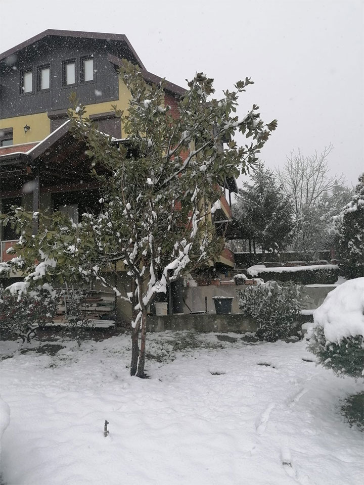 2020/02/1581178517_geyve_kar080220_02b.jpg