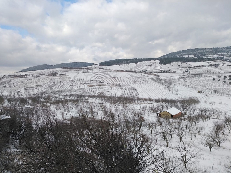 2020/02/1581178526_sekiharman_kar080220_02.jpg