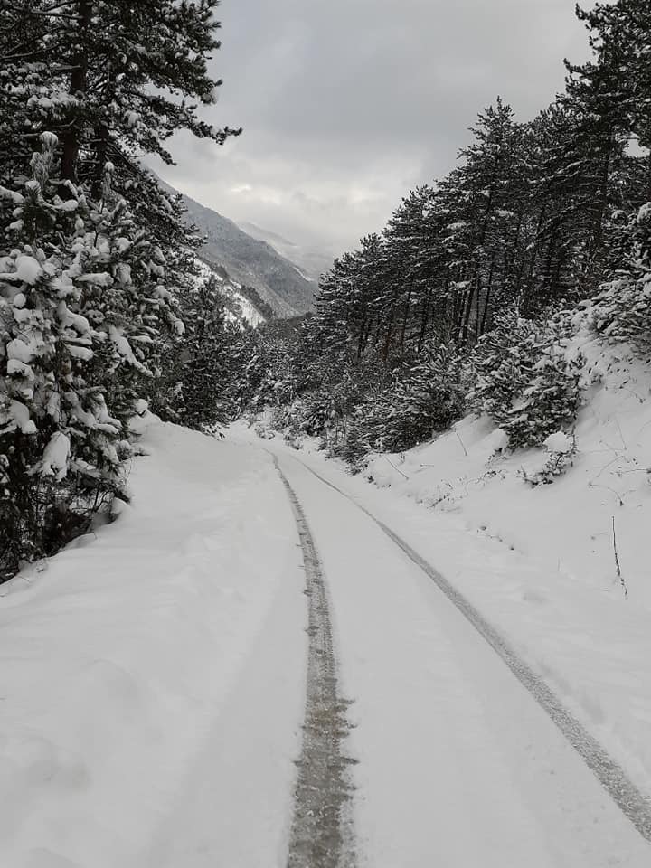 2020/02/1581264450_koru080220_01.jpg
