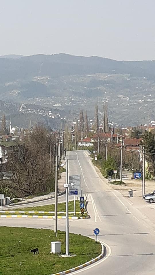 2020/04/1586610968_geyve_yasak_goruntuleri110420_05.jpg