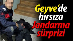 Geyve'de Hırsıza Jandarma Sürprizi