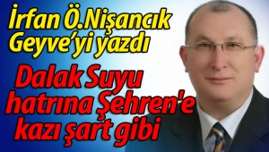 İrfan Özdilek Nişancık Geyve'yi yazdı