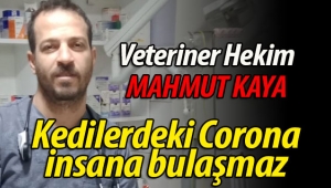 "Kedilerdeki Corona insana bulaşmaz"