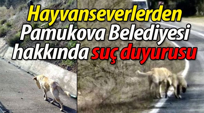 Pamukova Belediyesi hakkında suç duyurusu