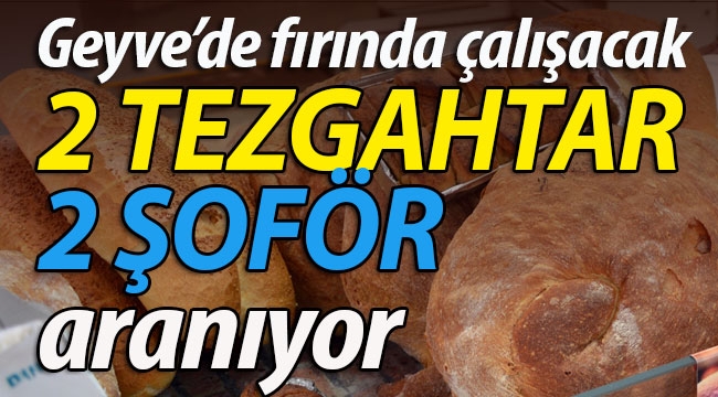 Fırında çalışacak 2 TEZGAHTAR ve 2 ŞOFÖR aranıyor