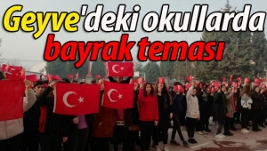 Geyve'de okullarda bayrak teması