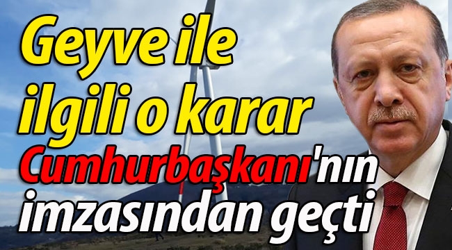 Geyve ile ilgili o karar Cumhurbaşkanı'nın imzasından geçti