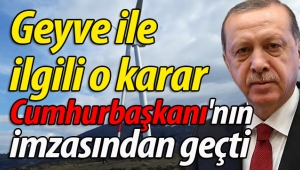 Geyve ile ilgili o karar Cumhurbaşkanı'nın imzasından geçti