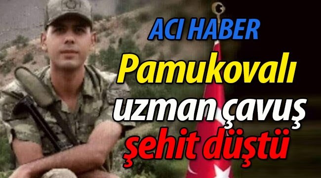 Pamukovalı asker İdlib'te şehit düştü