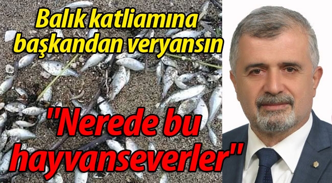 Başkandan veryansın: "Nerede bu hayvanseverler"