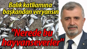 Başkandan veryansın: "Nerede bu hayvanseverler"