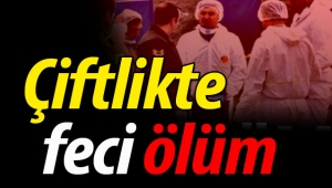 Çiftlikte feci ölüm