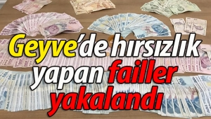 Geyve'de hırsızlık yapan failler yakalandı