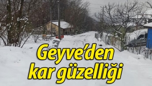 Geyve'den kar güzellikleri