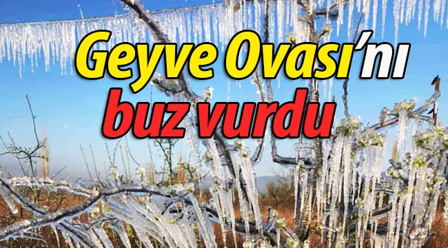 Geyve ovasını buz vurdu