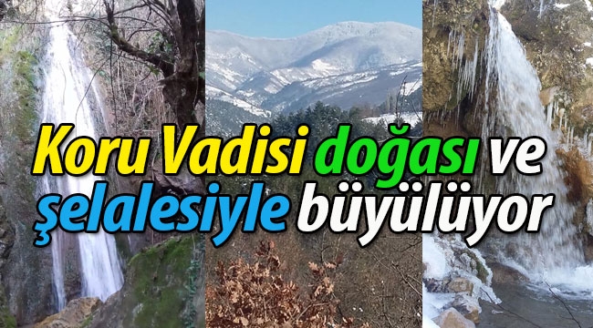 Koru Vadisi şelalesi ve doğasıyla büyülüyor