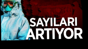 Sakarya'da son durum... Sayıları artıyor!