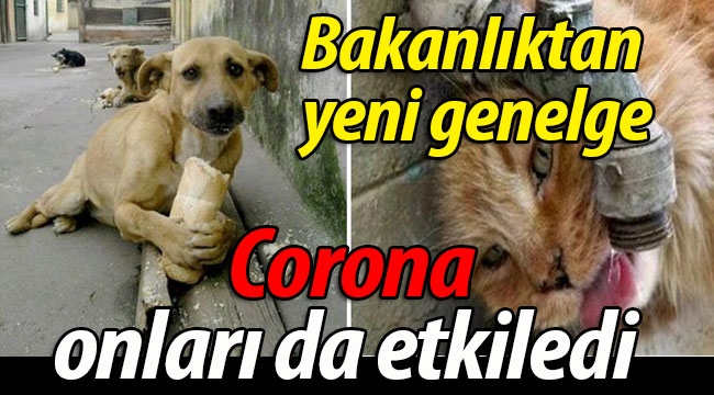 Bakanlık onlar için yeni genelge çıkardı