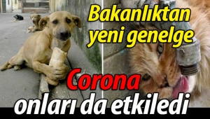 Bakanlık onlar için yeni genelge çıkardı