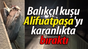 Balıkçıl kuşu Alifuatpaşa'yı karanlıkta bıraktı