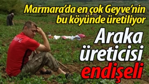 Geyve'de araka üreticisi endişeli