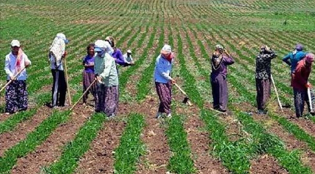 Geyve'de mevsimlik işçiler uyarıldı