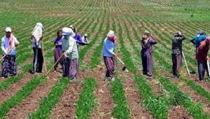 Geyve'de mevsimlik işçiler uyarıldı