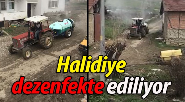 Halidiye köyü dezenfekte ediliyor