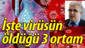 İşte virüsün öldüğü 3 ortam