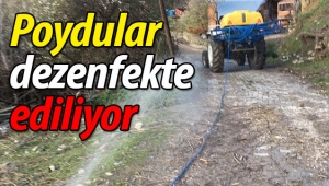 Poydular köyü dezenfekte ediliyor