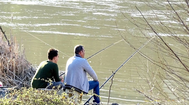 Sakarya'da iç sularda avlanma yasağı başlıyor! 