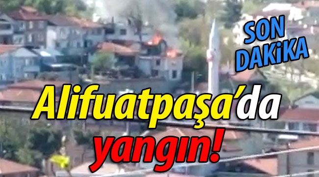 SON DAKİKA! Alifuatpaşa'da yangın