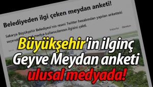 Büyükşehir'in ilginç Geyve Meydan anketi ulusal medyada!