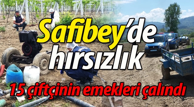 Safibey'de hırsızlar 15 çiftçinin emeğini çaldı