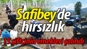 Safibey'de hırsızlar 15 çiftçinin emeğini çaldı