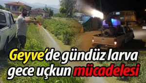 Geyve Belediyesi'nden larva ve uçkun mücadelesi