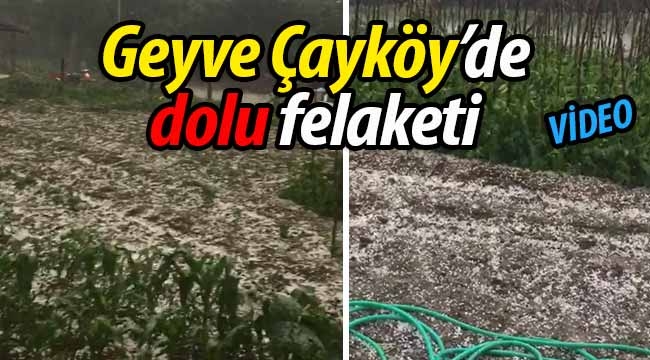 Geyve Çayköy'de dolu felaketi