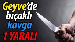 Geyve Eşme'de bıçaklı kavga: 1 yaralı