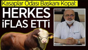 Sakarya'daki hayvan üretimi için acı sözler