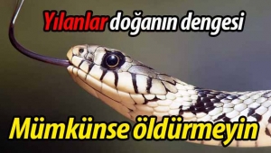 Yılanlar doğada denge unsurudur, öldürmeyiniz