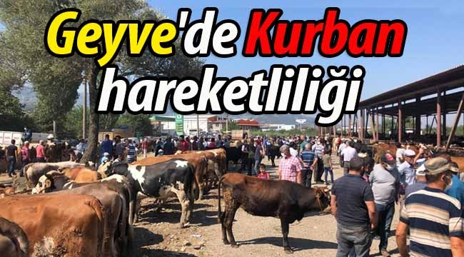 Geyve'de Kurban hareketliliği