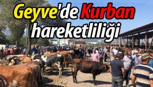 Geyve'de Kurban hareketliliği