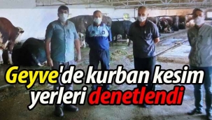 Geyve'de kurban kesim yerleri denetlendi
