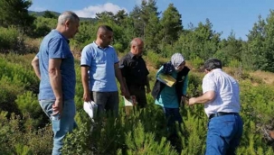 Geyve Ormanları'nda inceleme yaptılar