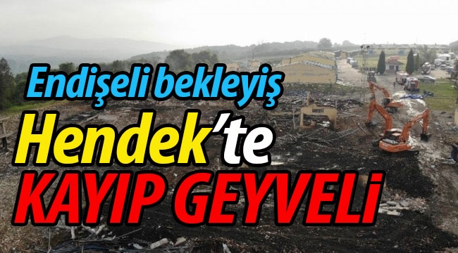 Hendek'te kayıp Geyveli